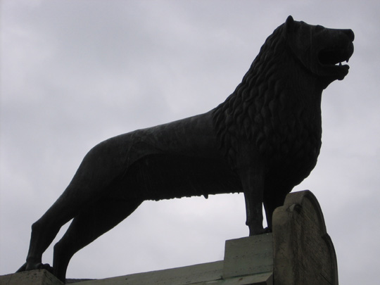 Der Braunschweiger L�we